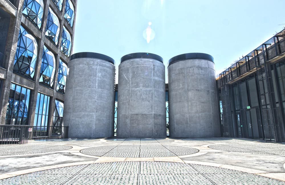 Picture of the author